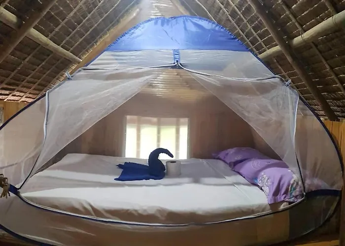 Nirvana Bamboo & Dive Centre Resort Moalboal